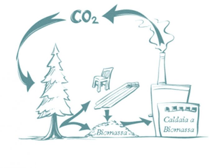 biomassa Schema del funzionamento a Biomaasa